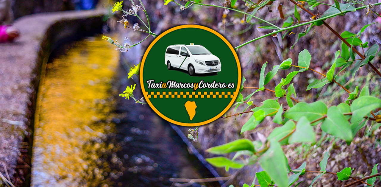 Contact TaxiaMarcosyCordero.es to book your taxi service to the Marcos y Cordero trail in San Andrés y Sauces, La Palma