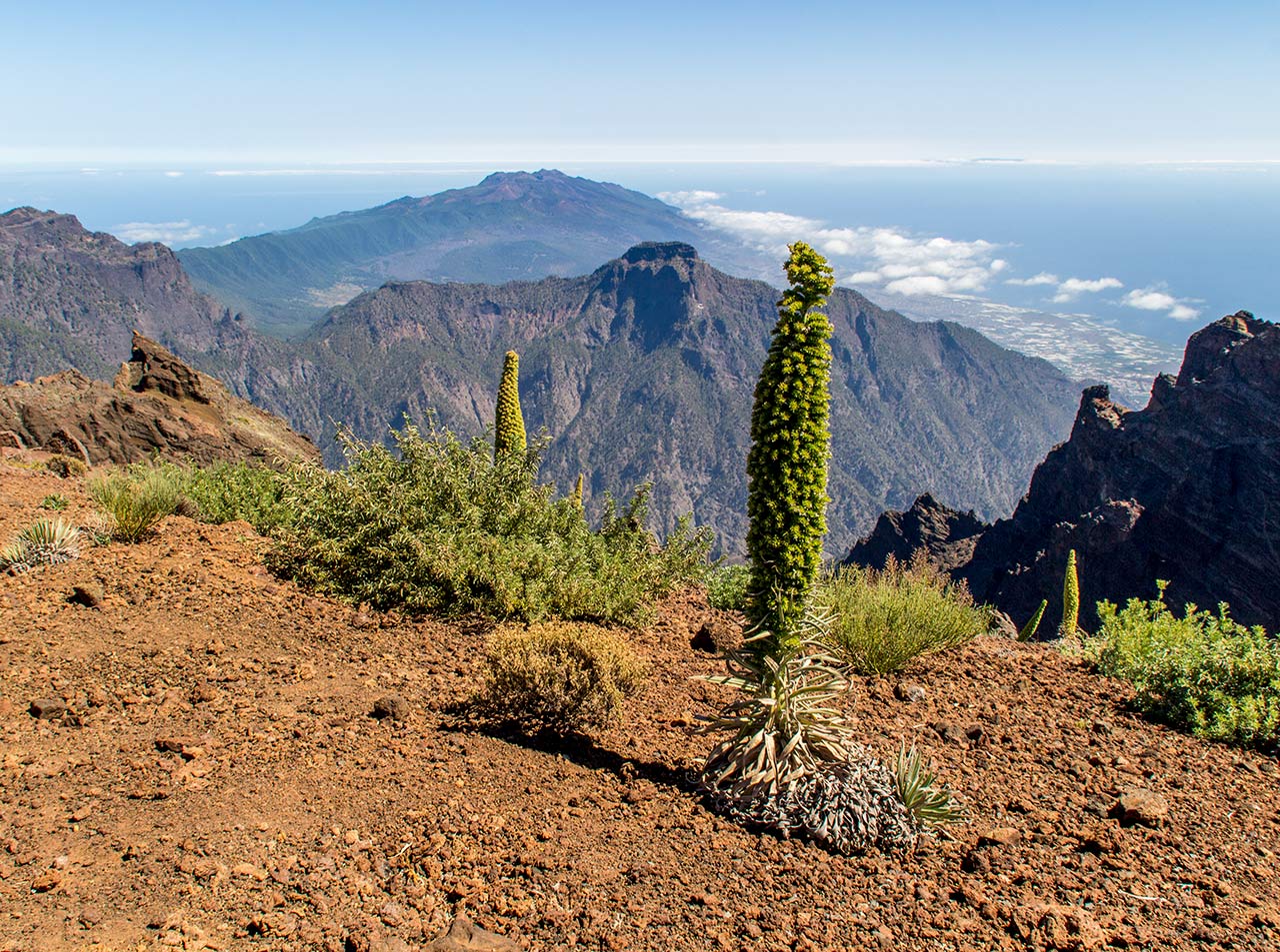 Ruta hacia el Roque de Los Muchachoss - Taxi a Marcos y Cordero · La Palma · Islas Canarias